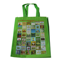 景德镇LB11覆膜无纺布广告袋